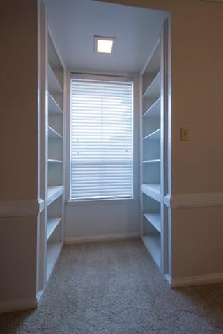 Built-In Shelves/Closet Space