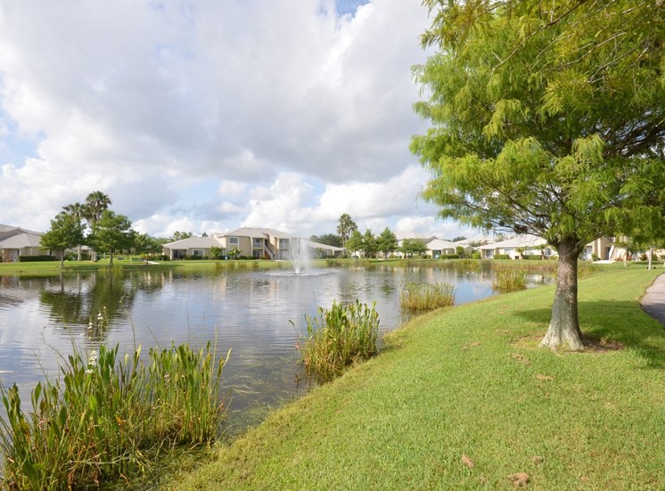 Waterfront View With Trees at River Park Place Apartments, Vero Beach, 32962