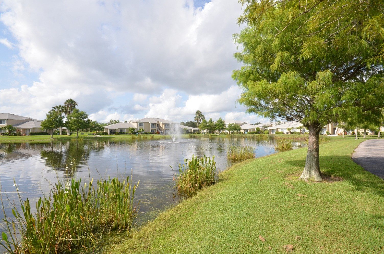 Waterfront View with Trees and Building Exteriors