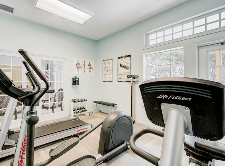 Fitness center with cardio equipment, dumb bell free weights, scale and large windows
