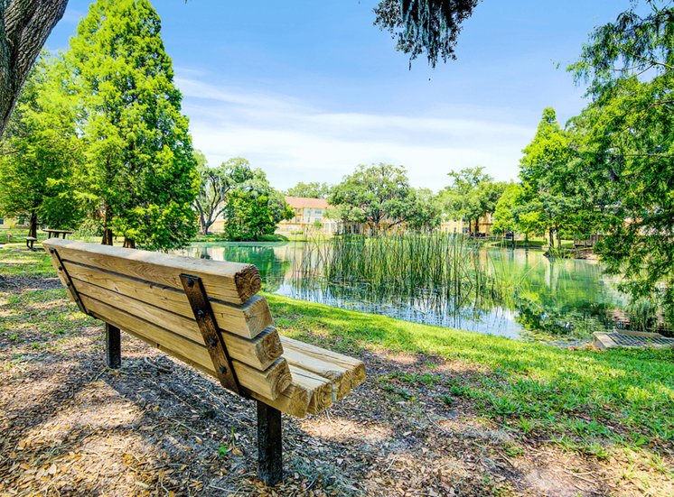 Scenic view of lake with wooden bench and lush green trees and other native landscape