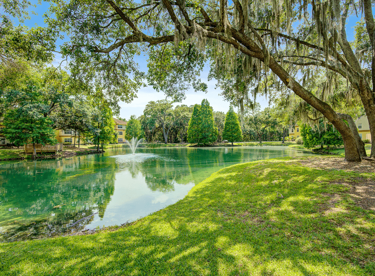 Scenic lake view with fountain with shady trees and native landscape.