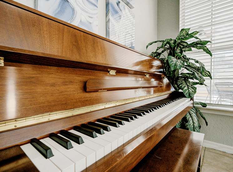 Wooden piano with large window and plant decor