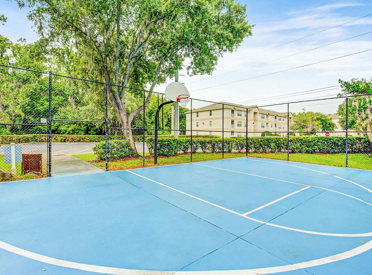 Fenced-in basketball court surrounded by grass, shrubs, and trees.