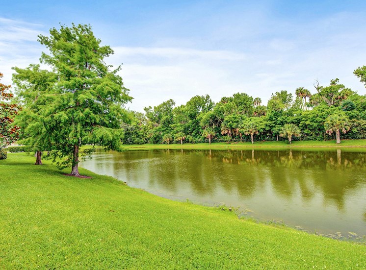 Lake surrounded by grass area and trees