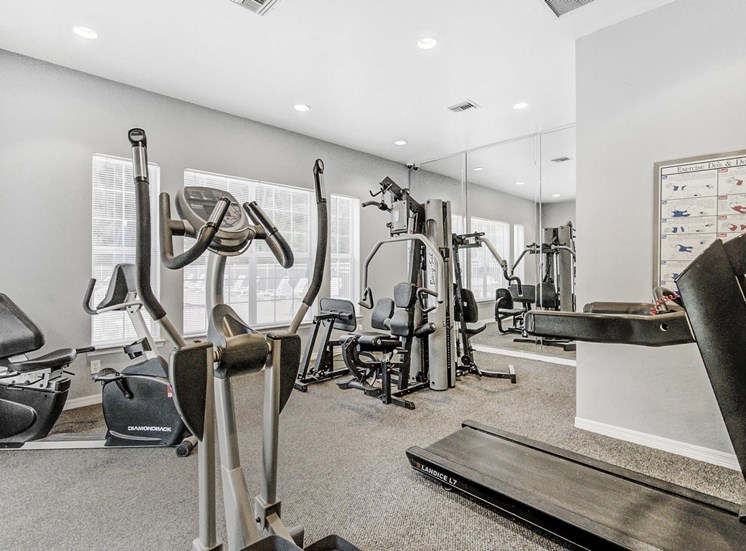 Fitness center with strength and cardio equipment, mirrors, and several windows.