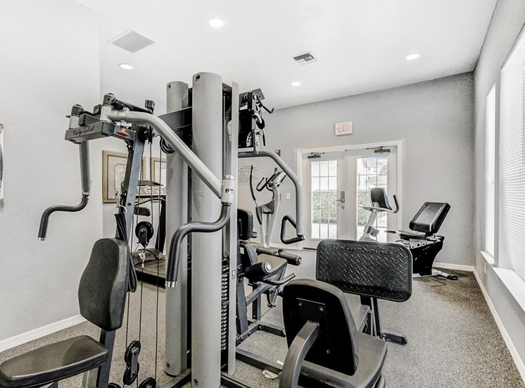 Fitness center with strength and cardio equipment, and several windows.