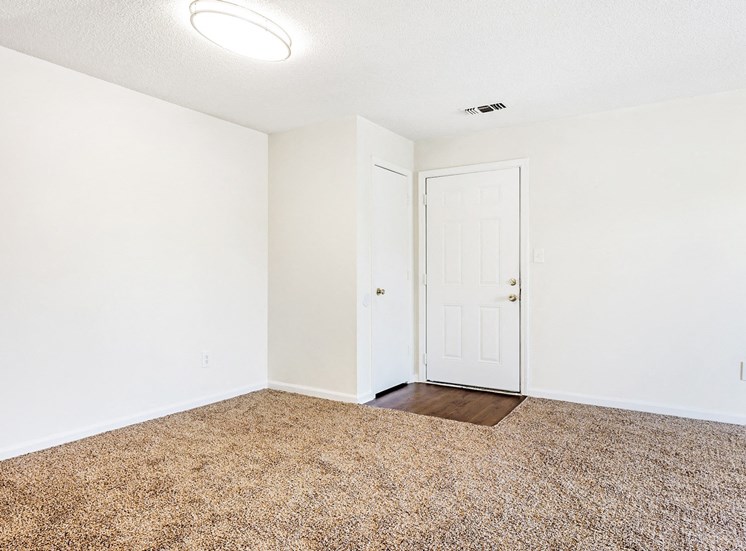 Carpeting living room with white walls