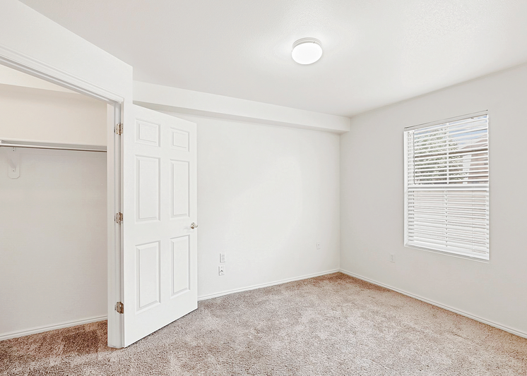Carpeted bedroom with window and view of walk-in closet
