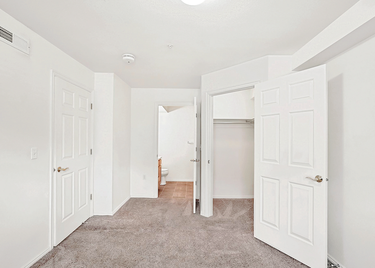 Carpeted bedroom facing walk-in closet and bathroom