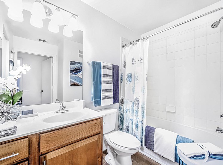DescriptionBathroom with large mirror, countertop, toilet, and a tub and shower combo with hardwood-style flooring and modeled with towels and accessories.