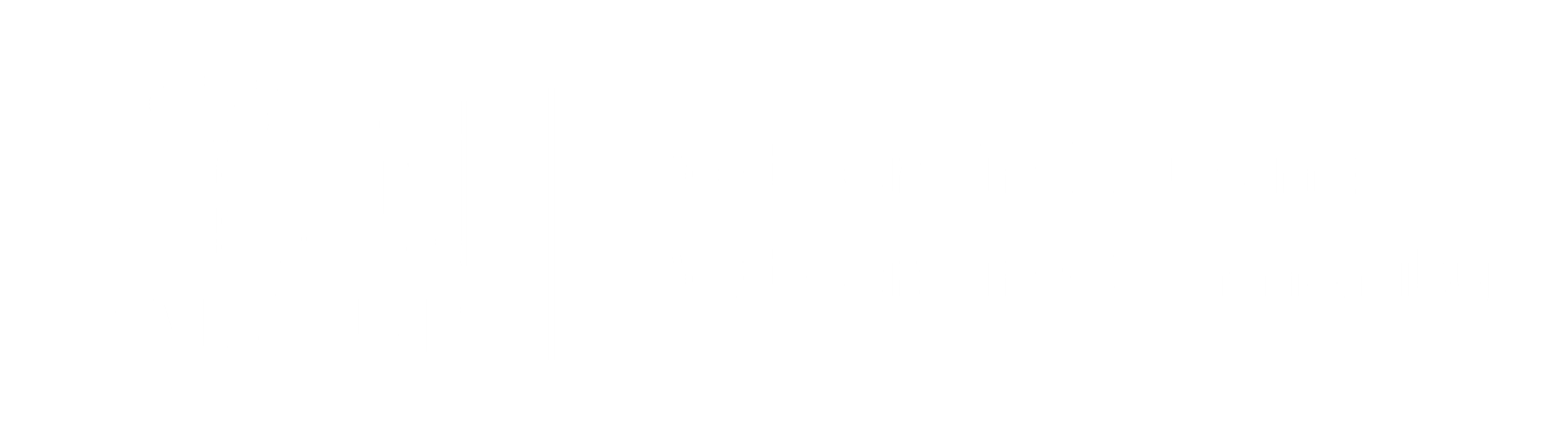 A logo with the words RAISE UP and Partners in Housing Partners in Community.