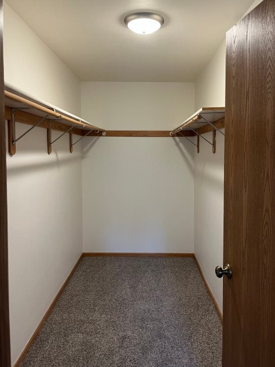 A small closet with a carpeted floor and a wooden door.