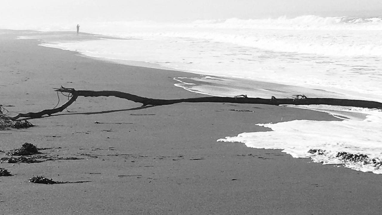 Eureka Housing Authority Apartments in Eureka, CA