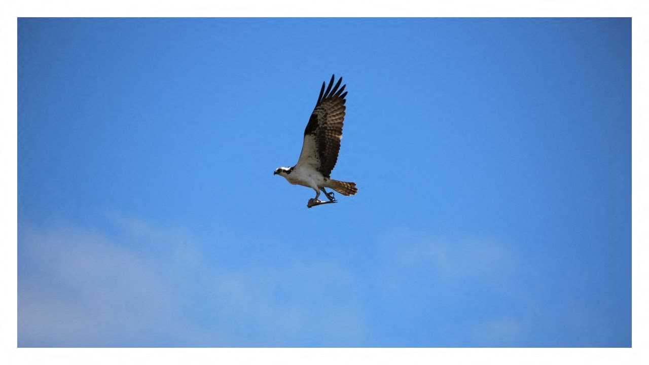 Eureka Housing Authority Apartments in Eureka, CA