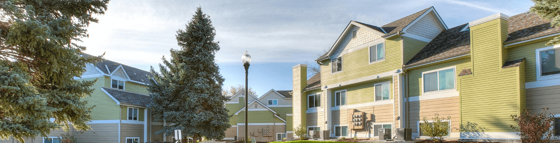 A row of houses with a tree in the foreground.