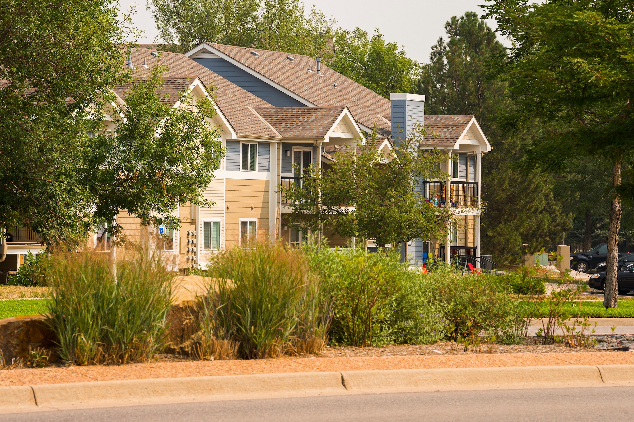 A row of houses with trees in front.
