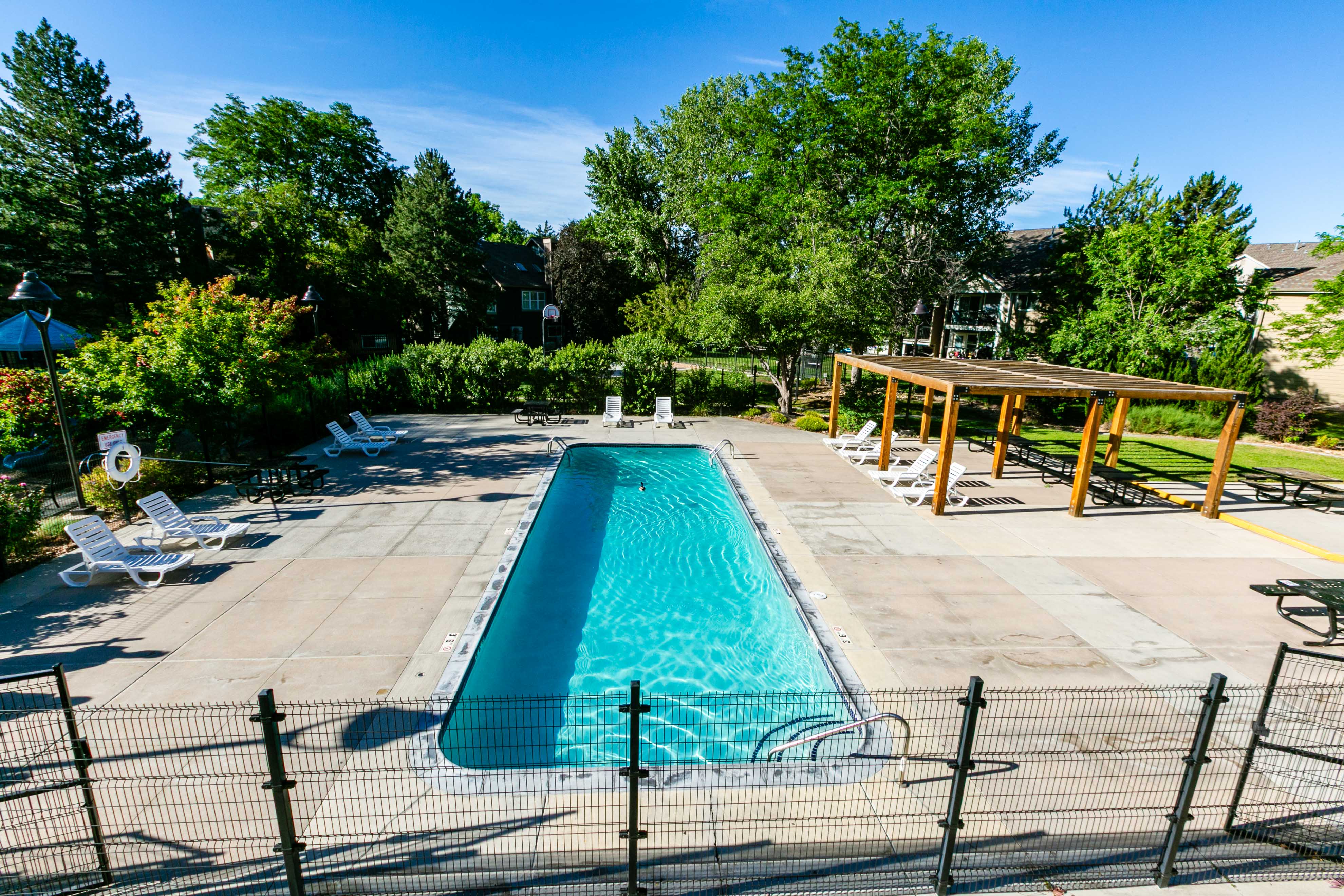 A pool surrounded by a black fence with trees in the background.