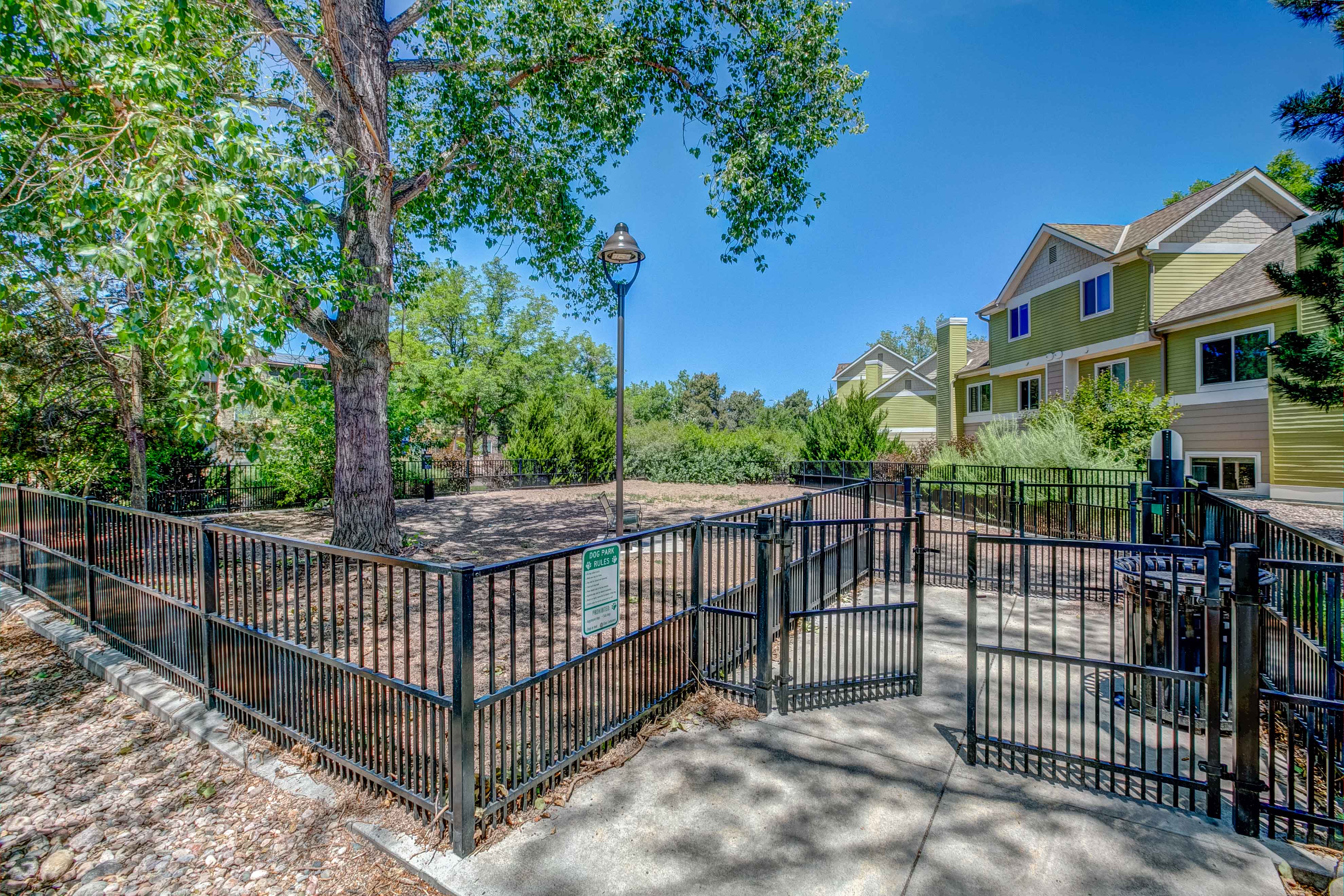 A black metal fence surrounds a yard with a lamp post and trees.