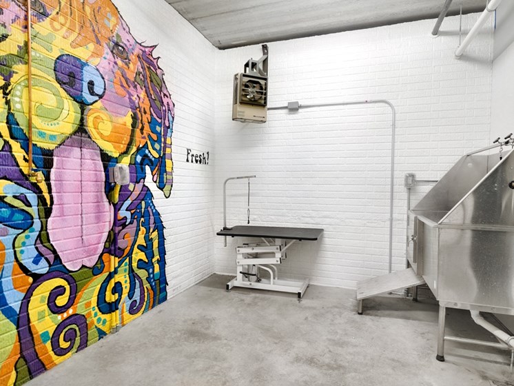 Indoor wash station for dogs, with one wall decorated with a  colorful mural