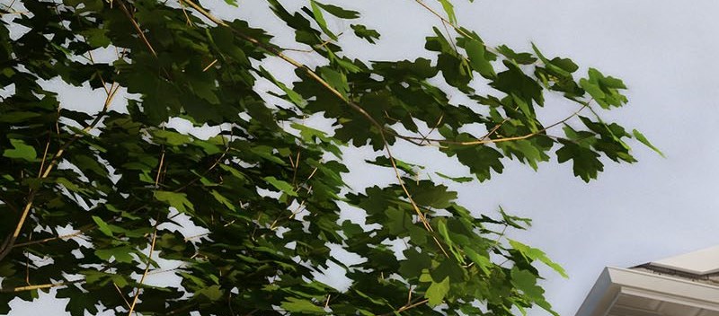 Homes Of Evansville Apartments In Evansville IN homes-of-evansville-apartments-in-evansville-in