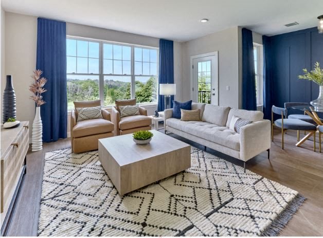 a living room filled with furniture and a large rug