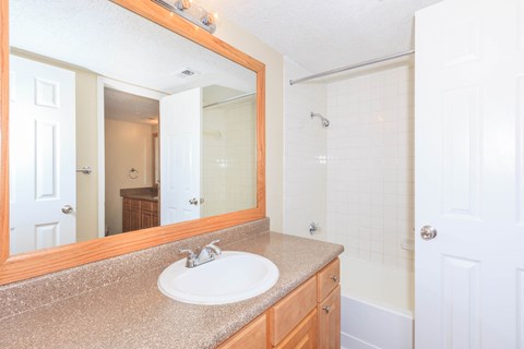 bathroom with vanity mirror shower
