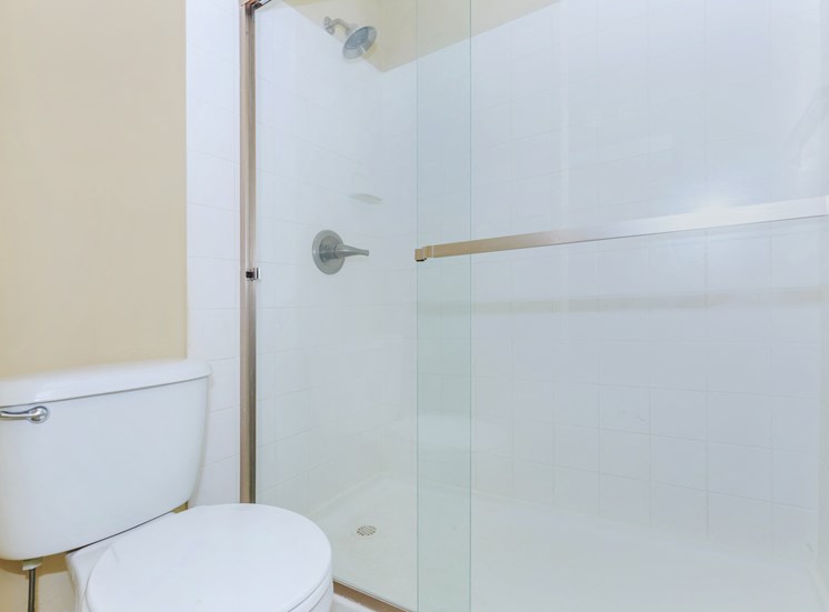 Photo of the shower and toilet in the studio apartment.