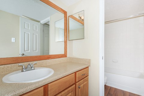 bathroom with vanity and mirror