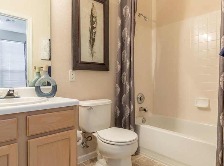 Luxurious Bathroom at Crowne Chase Apartment Homes, Overland Park, Kansas