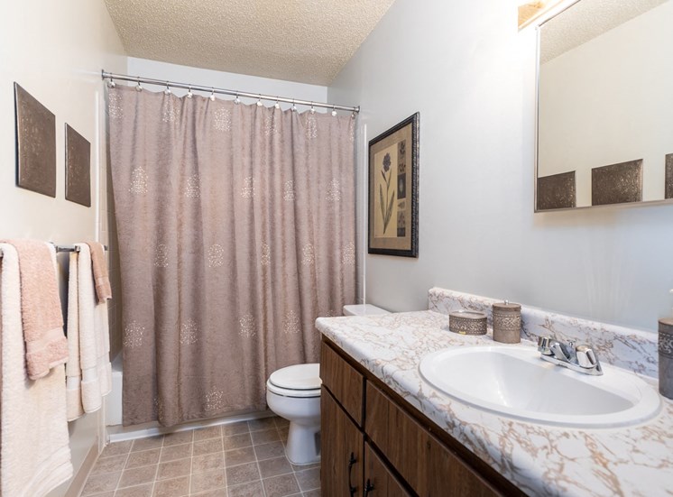 Bathroom vanity at Cloverset Valley Apartments, Missouri, 64114