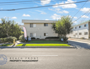 The Web Apartments
