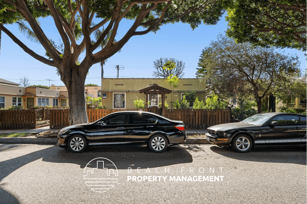 two cars parked in a parking lot in front of a tree