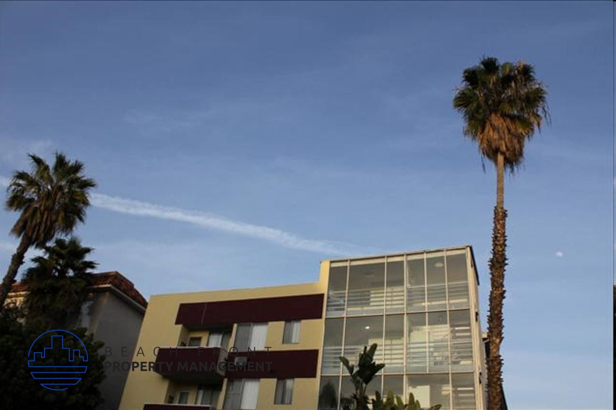 A tall palm tree stands in front of a multi-story building.