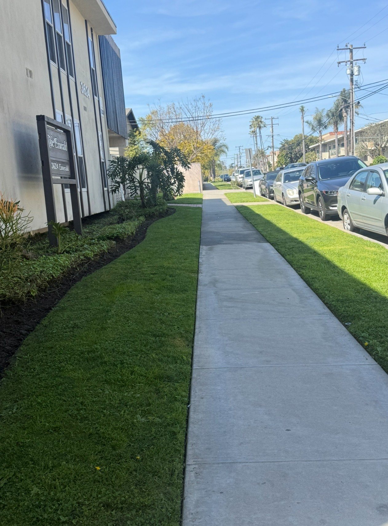 A sidewalk runs down the middle of a grassy area.