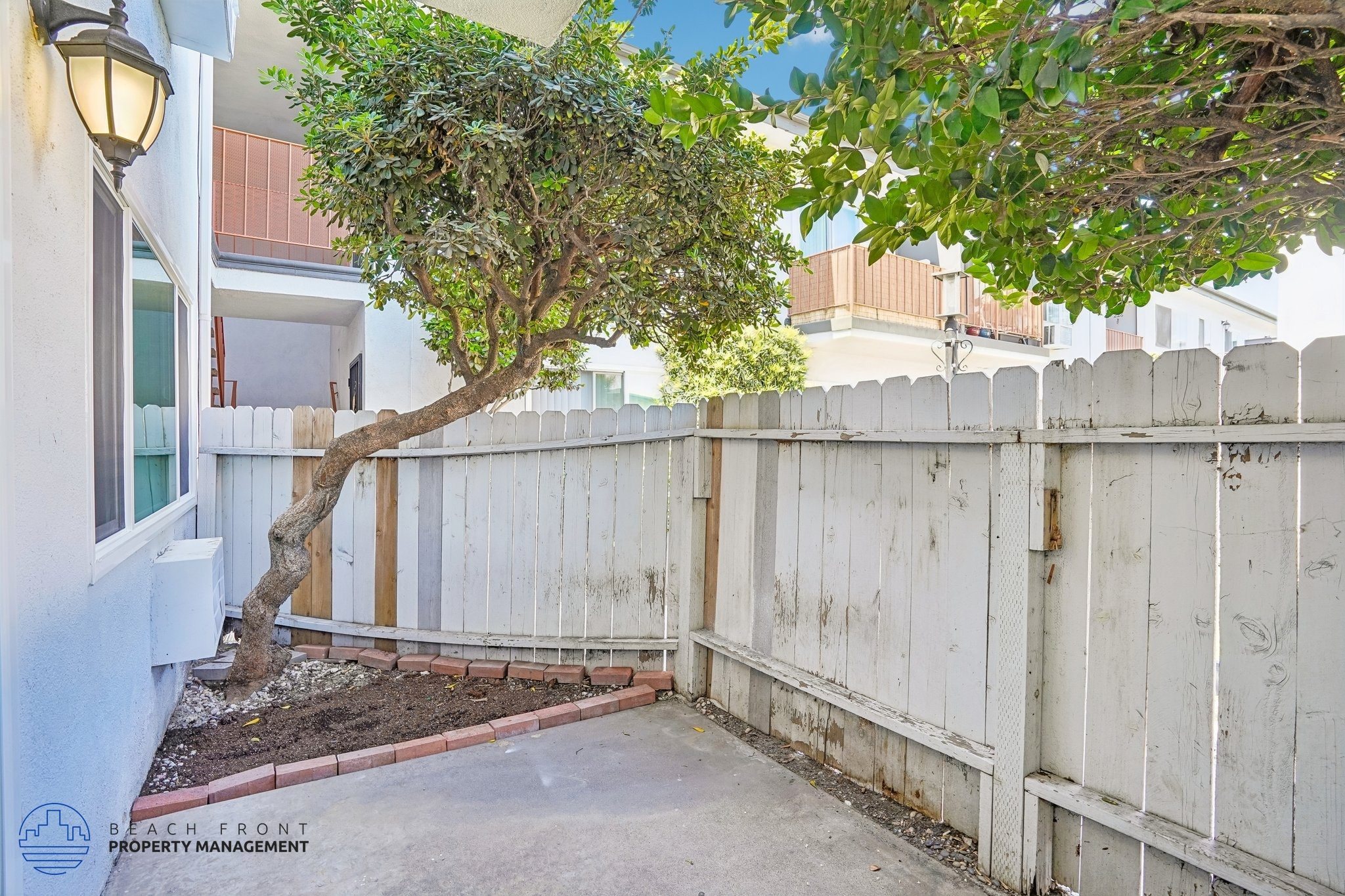 A tree in a yard with a white fence.