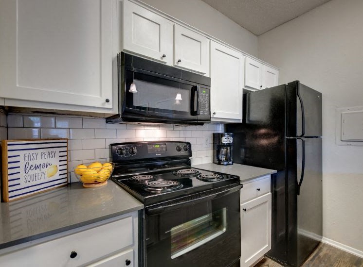 Mckinney apartments for rent with a kitchen