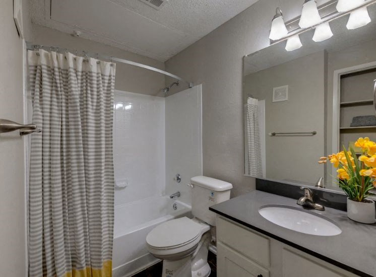 Mckinney apartments for rent with large bathrooms