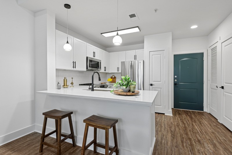 Treeline Ansley renovated apartment home