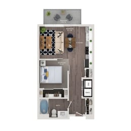 S1 Image
