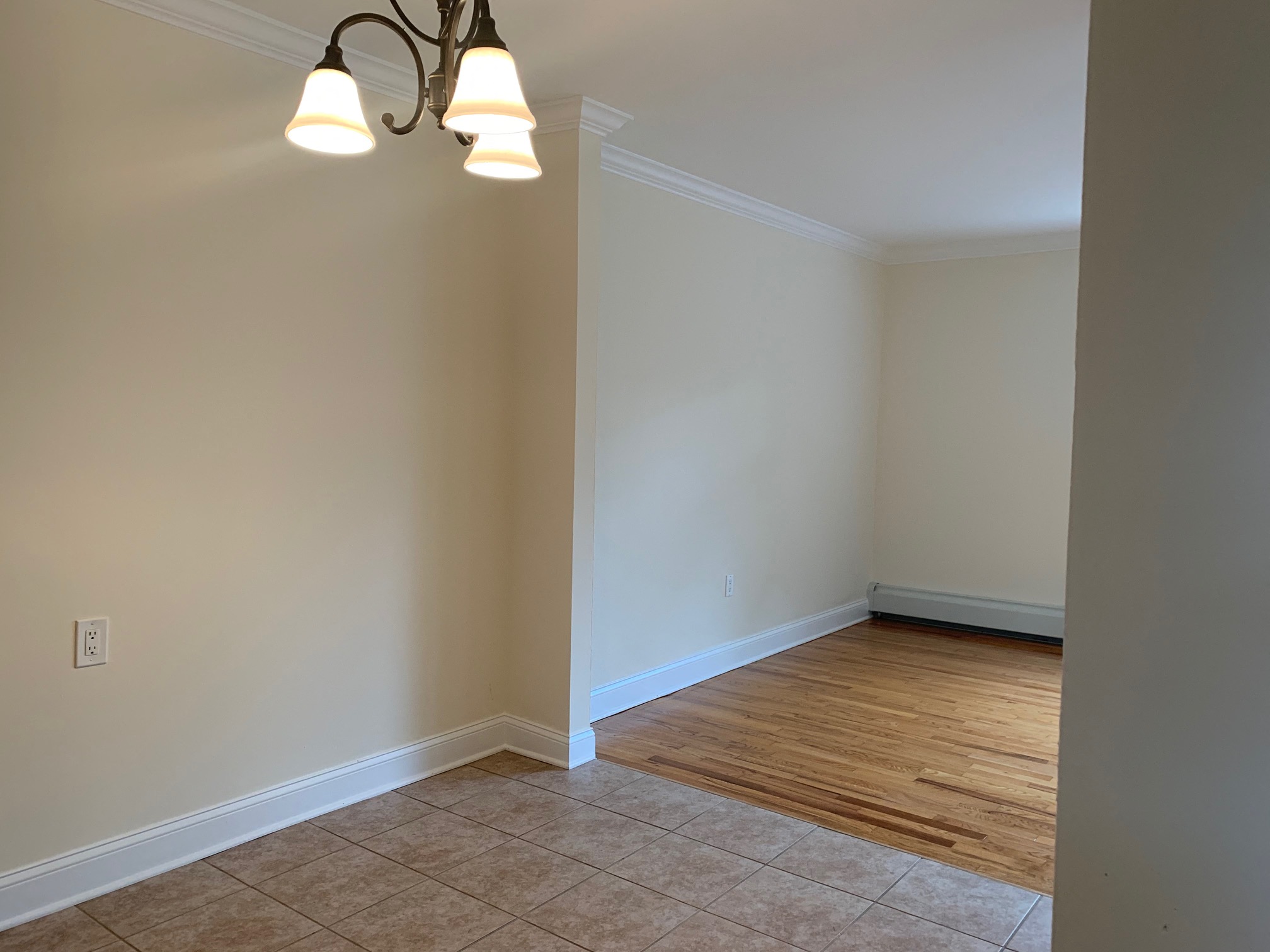 Gallery Photo 21