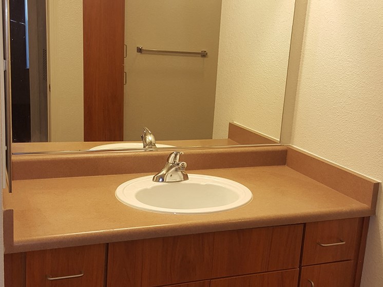 Bathroom vanity with sink