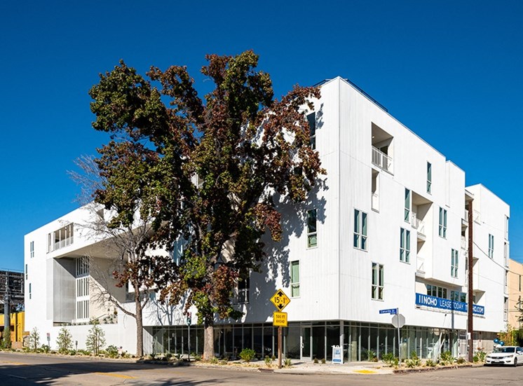 Exterior view of the building with large tree