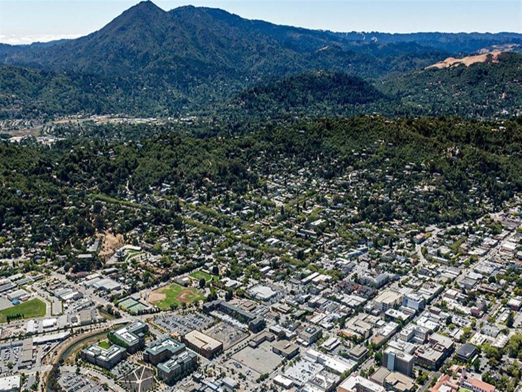 A cityscape with buildings and a mountain in the background.