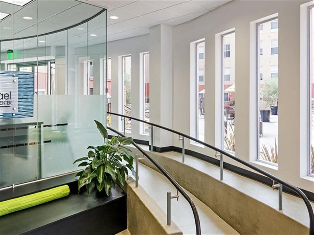 A glass wall with a green plant in front of it.