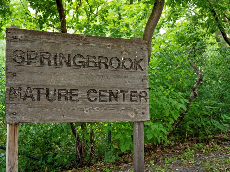 are dogs allowed at springbrook nature center