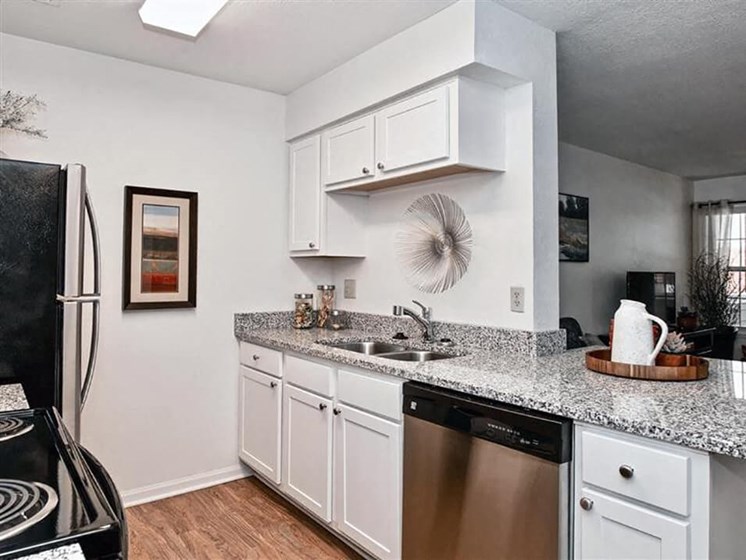 new appliances in kitchen apartments