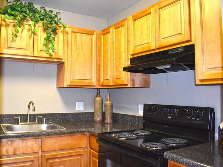 fully-equipped apartment kitchen