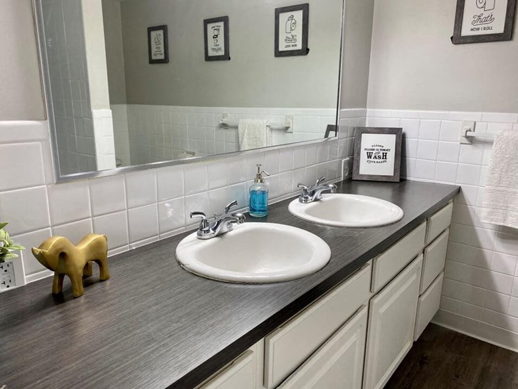 bathroom double sink in Kalamazoo MI