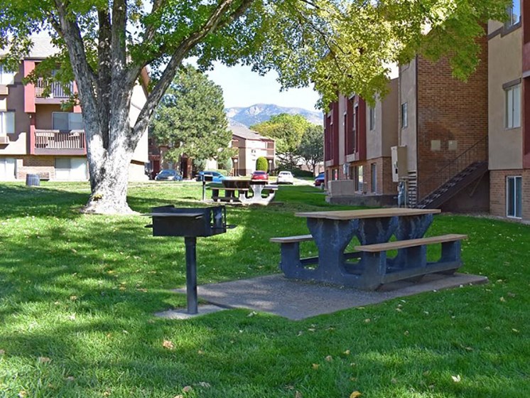 Picnic and Barbeque area at apartment complex